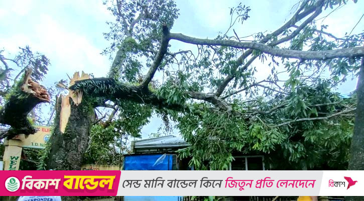 ফিলিপাইনে মৌসুমি ঝড় বুয়ালোইয়ের তাণ্ডব: নিহত ২৬, নিখোঁজ ১৪